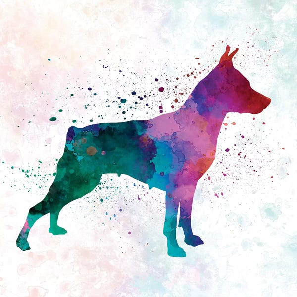 Miniature Pinschers: Miniature Pinscher In Watercolor by Paul Rommer