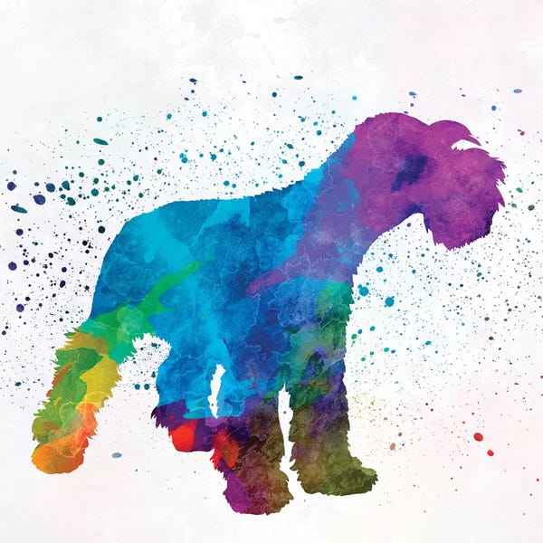 Schnauzers: Miniature Schnauzer In Watercolor by Paul Rommer