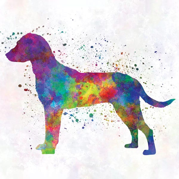 Hounds: Montenegrin Mountain Hound In Watercolor by Paul Rommer