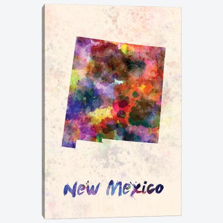 New Mexico Canvas Print #PUR533} by Paul Rommer Canvas Artwork