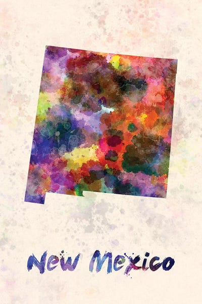 New Mexico: New Mexico by Paul Rommer