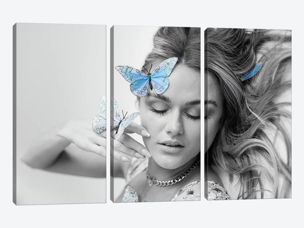 Butterflies On My Face by Paul Rommer 3-piece Canvas Artwork