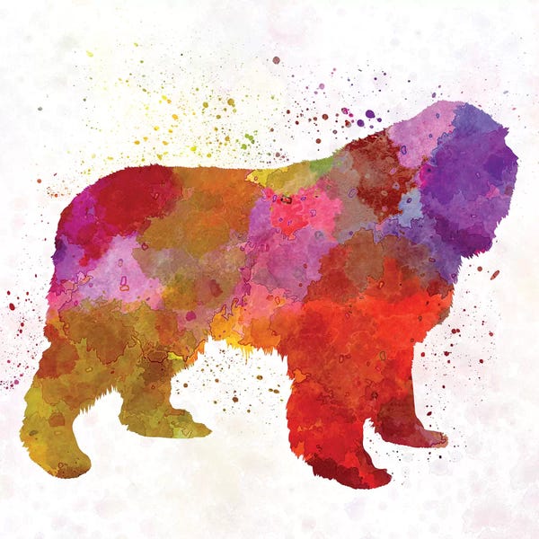 Newfoundlands: Newfoundland In Watercolor by Paul Rommer