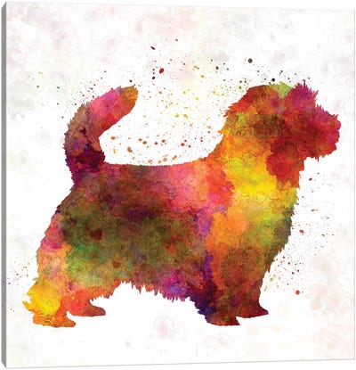 Norfolk Terrier In Watercolor Canvas Art Print