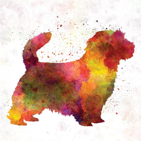 Paul Rommer: Norfolk Terrier In Watercolor by Paul Rommer