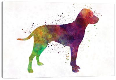 Old Danish Pointer In Watercolor Canvas Art Print - Pointer & Setter Art
