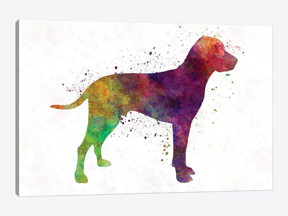 Old Danish Pointer In Watercolor by Paul Rommer 1-piece Art Print