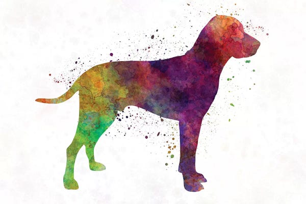 Pointers & Setters: Old Danish Pointer In Watercolor by Paul Rommer