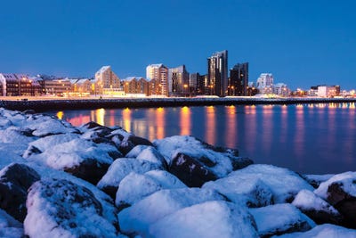 Reykjavik by Paul Rommer multi panel art