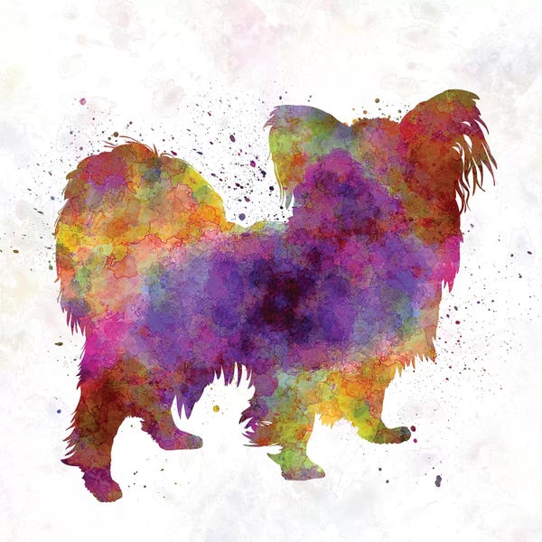 Spaniels: Papillon In Watercolor by Paul Rommer