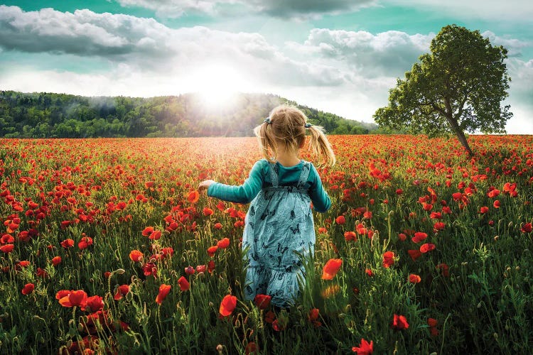 Into The Poppies by Paul Rommer wall art