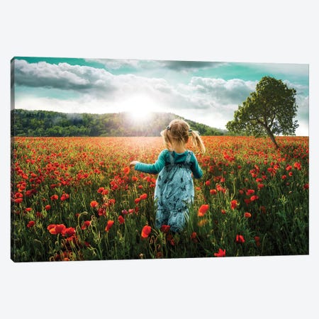 Into The Poppies Canvas Print #PUR5649} by Paul Rommer Art Print