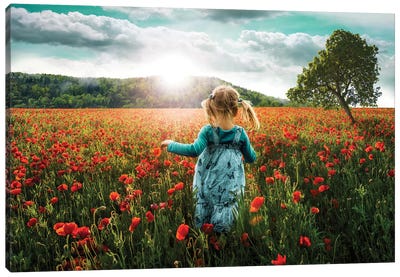Into The Poppies Canvas Art Print - Garden & Floral Landscape Art