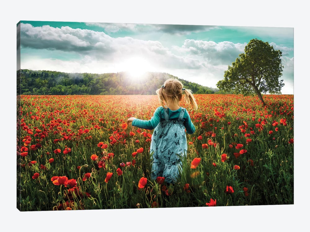 Into The Poppies by Paul Rommer 1-piece Canvas Print