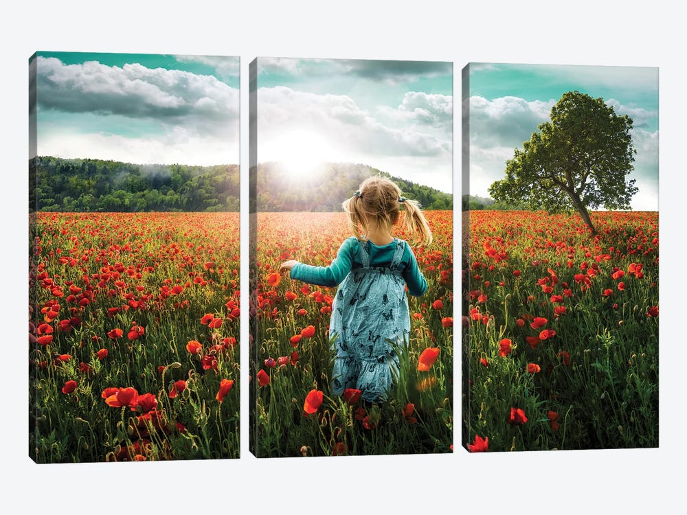 Into The Poppies by Paul Rommer 3-piece Canvas Art Print