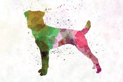 Parson Russell Terriers