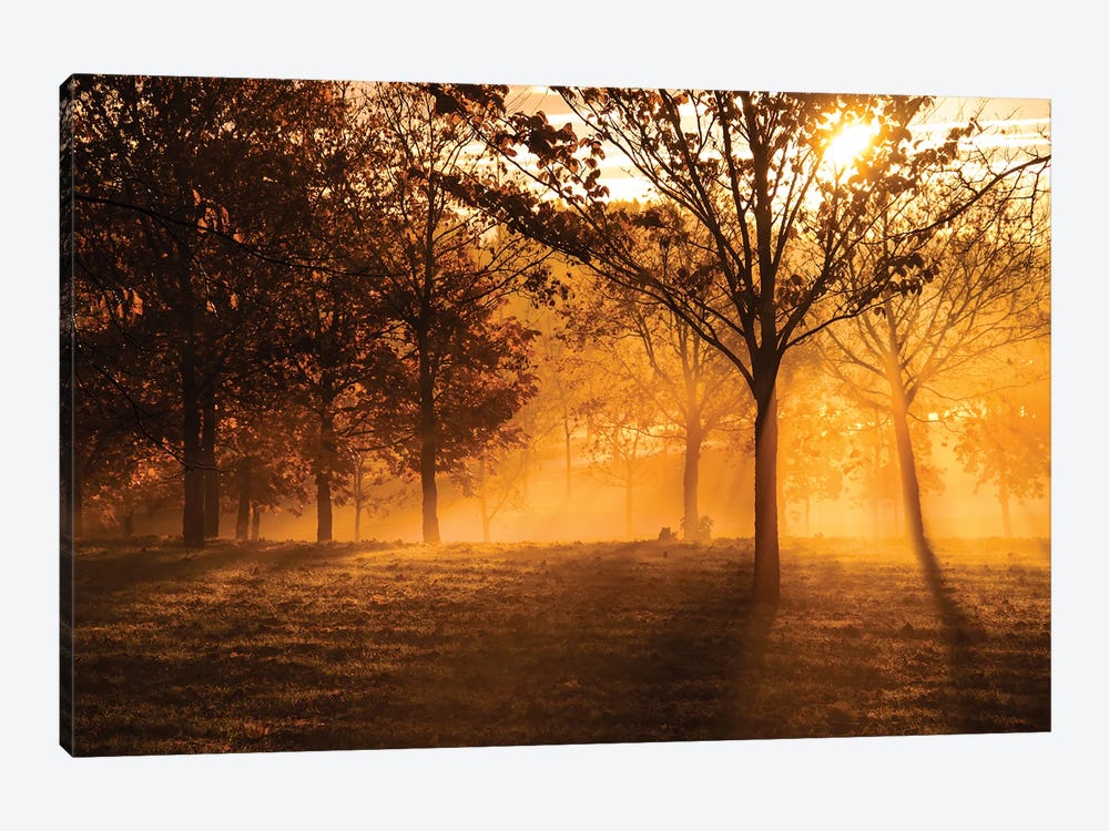 Autumn Sun by Paul Rommer 1-piece Canvas Print