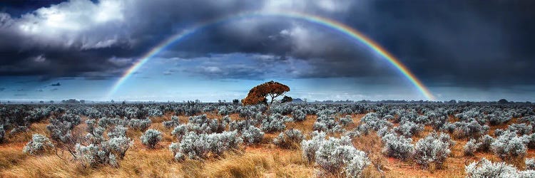 Desert Rainbow