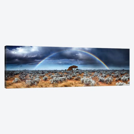 Desert Rainbow Canvas Print #PUR5656} by Paul Rommer Canvas Print