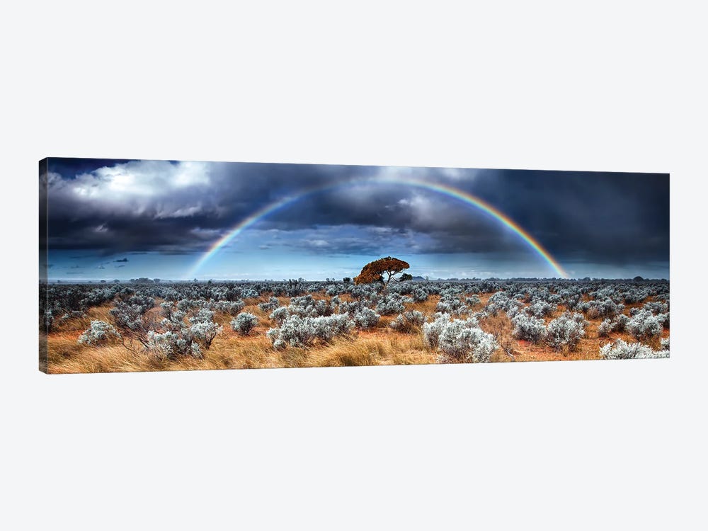 Desert Rainbow by Paul Rommer 1-piece Art Print