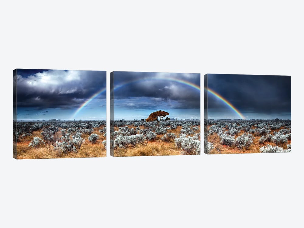 Desert Rainbow by Paul Rommer 3-piece Canvas Art Print