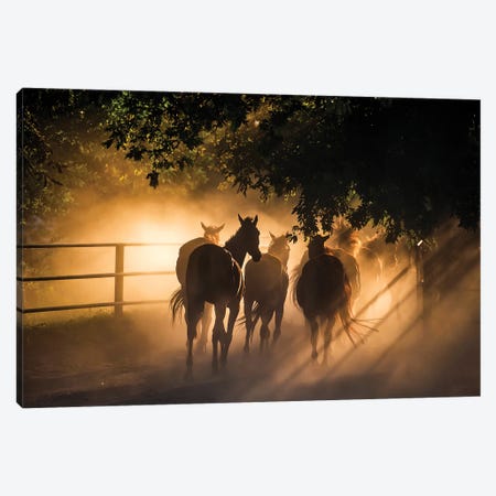 Herd Of Horses Canvas Print #PUR5657} by Paul Rommer Canvas Art Print