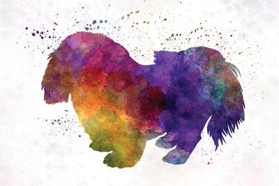 Penkingese In Watercolor by Paul Rommer canvas print