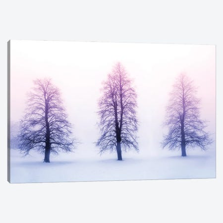 Winter Trees In Fog Canvas Print #PUR5663} by Paul Rommer Art Print