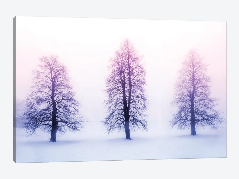 Winter Trees In Fog by Paul Rommer 1-piece Canvas Print