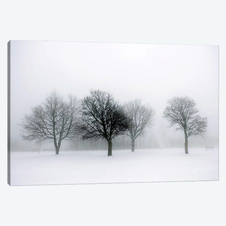 Winter Trees In Fog II Canvas Print #PUR5664} by Paul Rommer Canvas Art