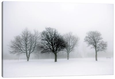 Winter Trees In Fog II Canvas Art Print - Snowscape Art