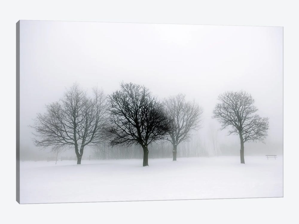 Winter Trees In Fog II by Paul Rommer 1-piece Canvas Wall Art