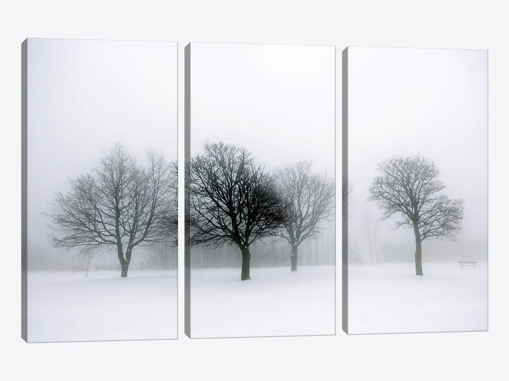 Winter Trees In Fog II by Paul Rommer 3-piece Canvas Wall Art