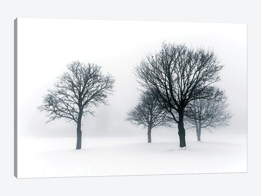 Winter Trees In Fog III by Paul Rommer 1-piece Art Print