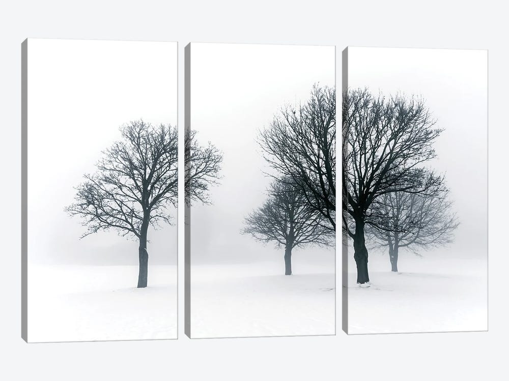 Winter Trees In Fog III by Paul Rommer 3-piece Canvas Print