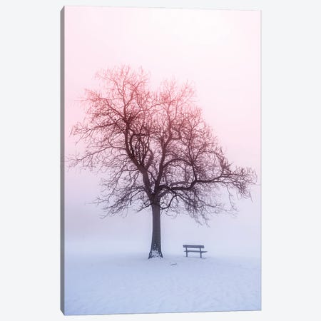 Winter Trees In Fog IV Canvas Print #PUR5666} by Paul Rommer Canvas Art