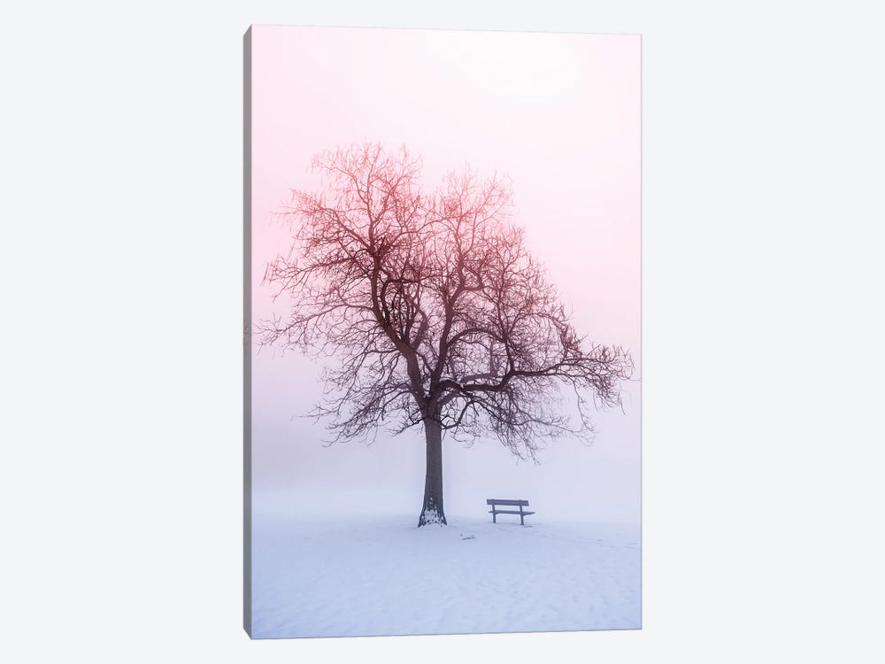 Winter Trees In Fog IV by Paul Rommer 1-piece Canvas Wall Art