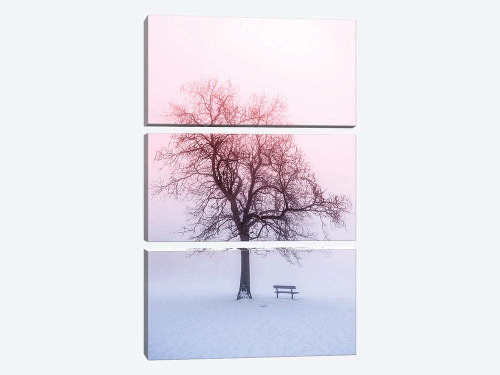 Winter Trees In Fog IV by Paul Rommer 3-piece Canvas Art