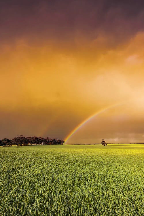 Rainbow by Paul Rommer wall art