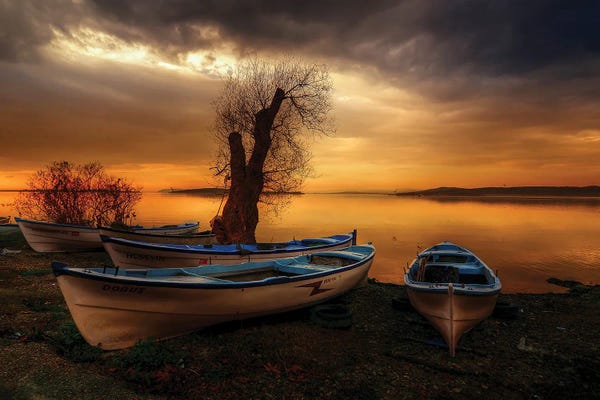 Rowboats: Boats In Sunset by Paul Rommer