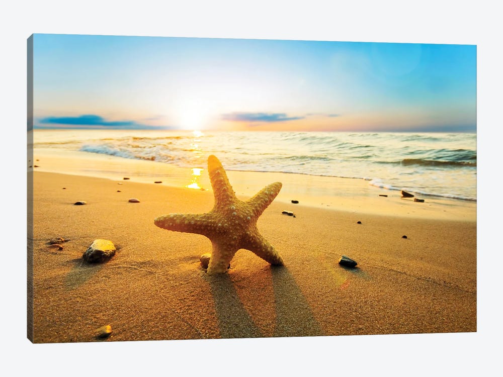 Starfish On The Beach by Paul Rommer 1-piece Art Print