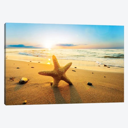 Starfish On The Beach Canvas Print #PUR5672} by Paul Rommer Canvas Art