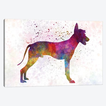 Peruvian Hairless Dog In Watercolor Canvas Print #PUR569} by Paul Rommer Canvas Print