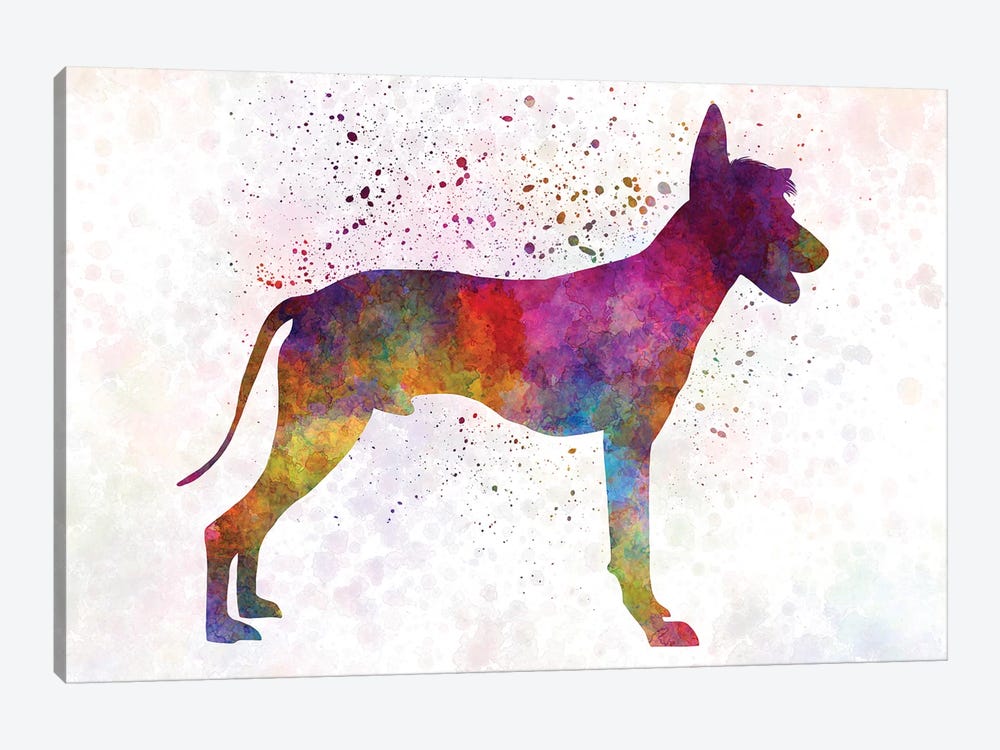 Peruvian Hairless Dog In Watercolor by Paul Rommer 1-piece Canvas Artwork