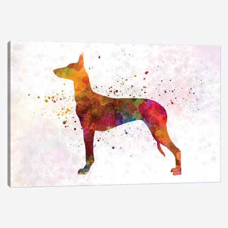 Pharaoh Hound In Watercolor Canvas Print #PUR571} by Paul Rommer Canvas Art