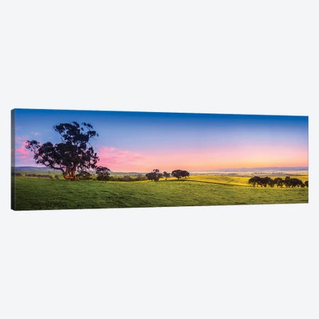 Fresh Field Australia Canvas Print #PUR5732} by Paul Rommer Canvas Art Print
