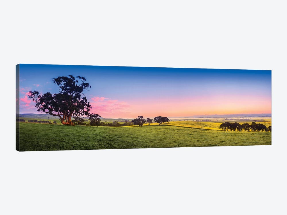 Fresh Field Australia 1-piece Canvas Artwork