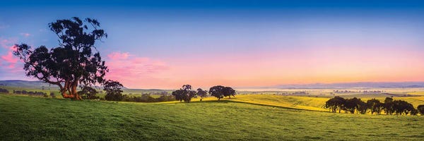Australia: Fresh Field Australia by Paul Rommer