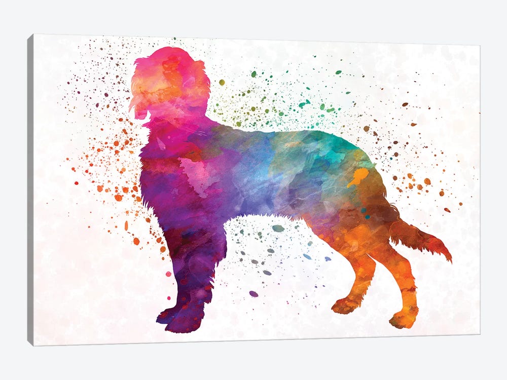 Picardy Spaniel In Watercolor by Paul Rommer 1-piece Canvas Artwork