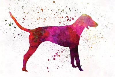 Poitevin In Watercolor by Paul Rommer canvas print